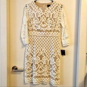 Gabby Skye Placement Lace Sheath Dress